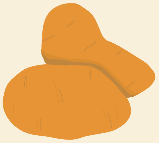 illustratie van twee aardappels