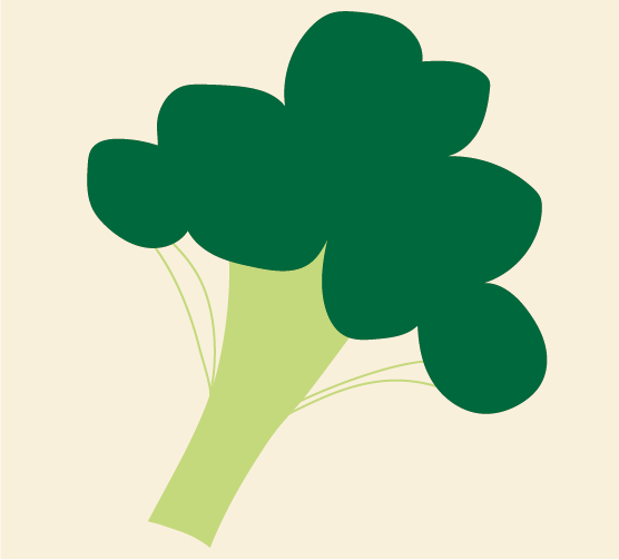 illustratie van een broccoli