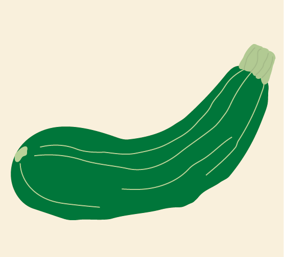 illustratie van courgette