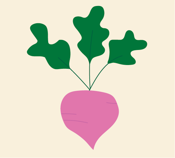 illustratie van een radijs